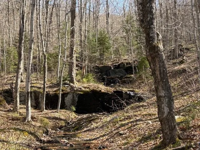 $835,000 | 0 Walker Hill Road, Bridgewater Corners, VT 05035