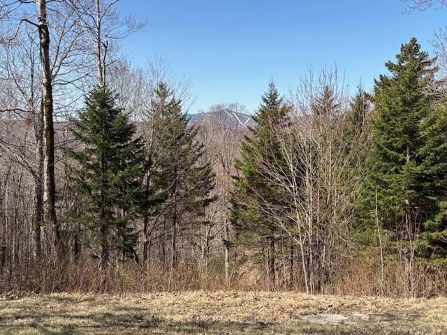 0 Walker Hill Road Bridgewater Corners, VT 05035 - Photo 13 of 17