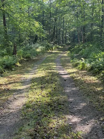 $835,000 | 0 Walker Hill Road, Bridgewater Corners, VT 05035