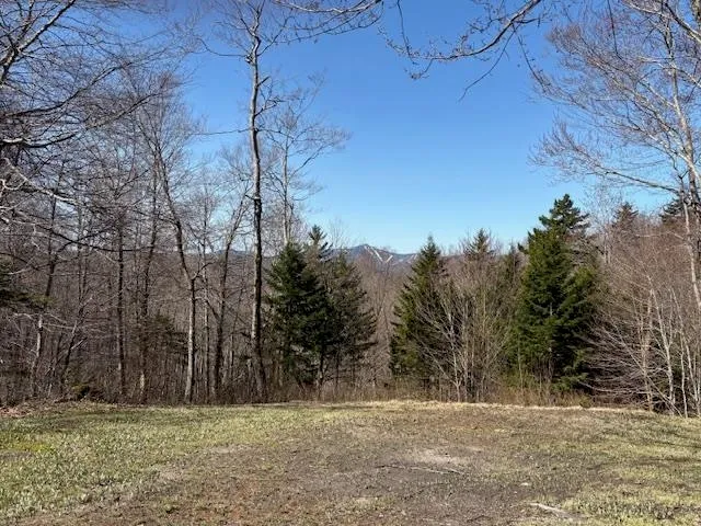 $835,000 | 0 Walker Hill Road, Bridgewater Corners, VT 05035