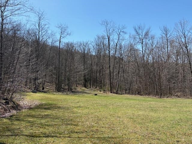 0 Walker Hill Road Bridgewater Corners, VT 05035 - Photo 3 of 17