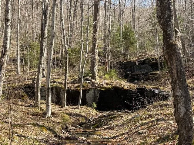 $835,000 | 0 Walker Hill Road, Bridgewater Corners, VT 05035