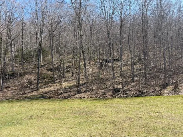 $835,000 | 0 Walker Hill Road, Bridgewater Corners, VT 05035