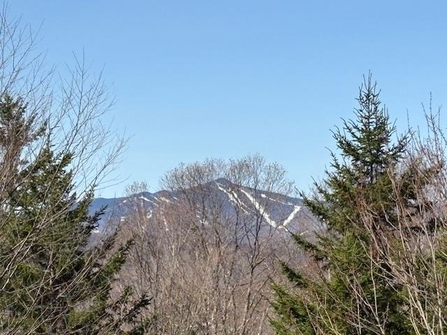 0 Walker Hill Road Bridgewater Corners, VT 05035 - Photo 8 of 17