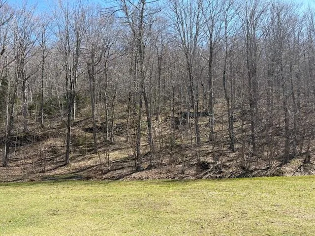 $835,000 | 0 Walker Hill Road, Bridgewater Corners, VT 05035