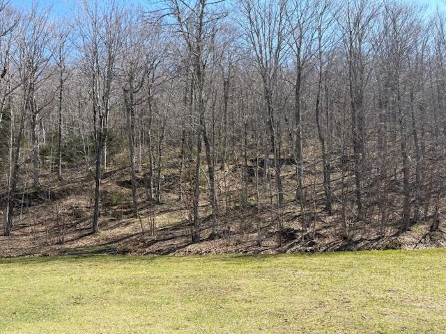 0 Walker Hill Road Bridgewater Corners, VT 05035 - Photo 9 of 17