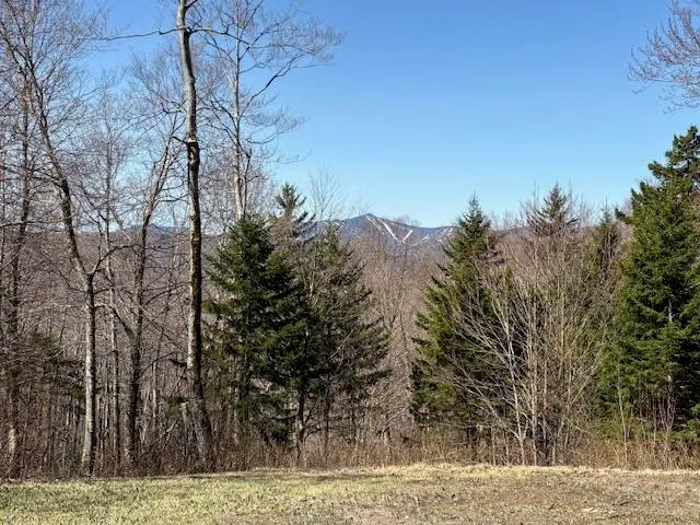 $835,000 | 0 Walker Hill Road, Bridgewater Corners, VT 05035