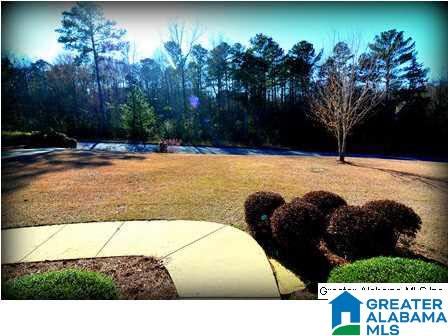 145 Hunter Ridge Lane Pell City, AL 35128 - Photo 31 of 31