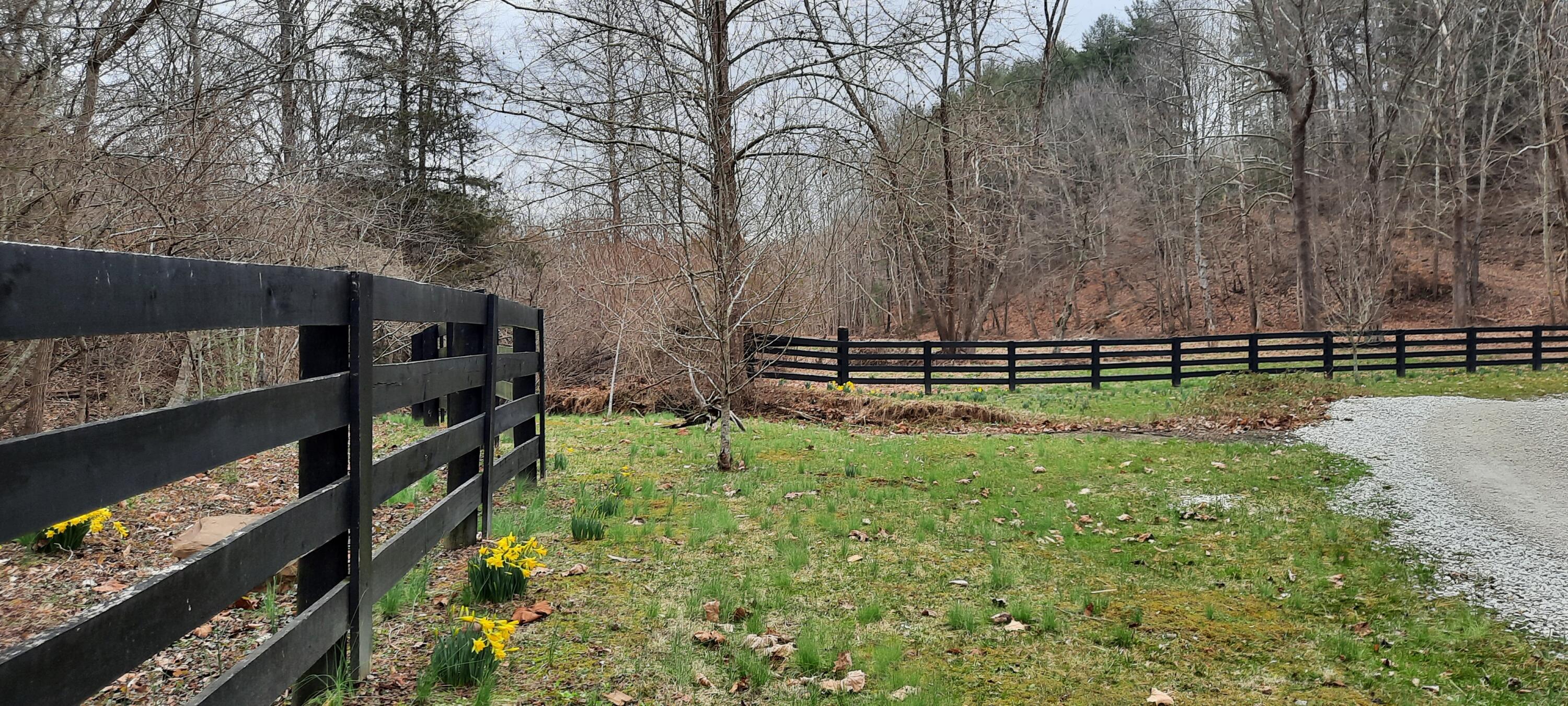 2135 Urban Creek Road Manchester, KY 40962 - Photo 3 of 81 20240227_141900