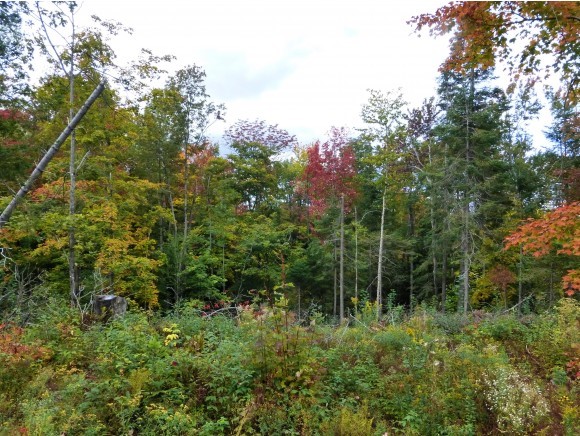Lot 1 Off Page Road Lowell, VT 05847 - Photo 1 of 5