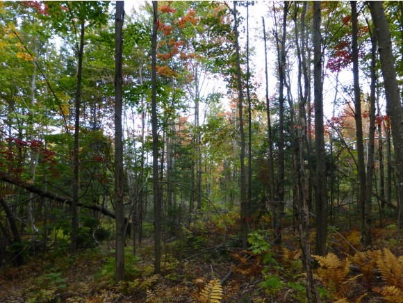 Lot 1 Off Page Road Lowell, VT 05847 - Photo 2 of 5