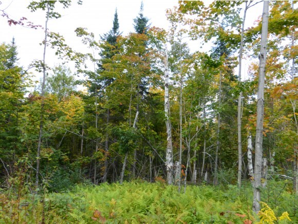 Lot 1 Off Page Road Lowell, VT 05847 - Photo 3 of 5