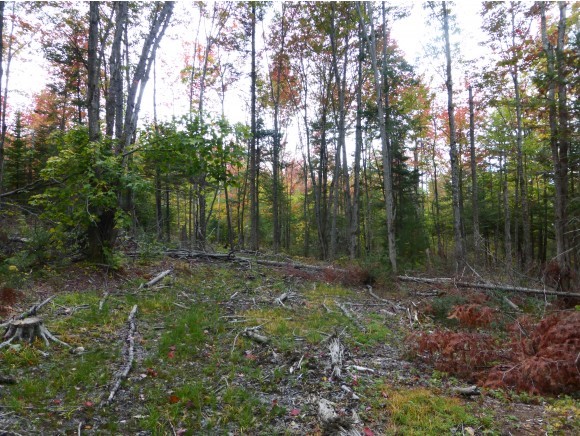 Lot 1 Off Page Road Lowell, VT 05847 - Photo 4 of 5