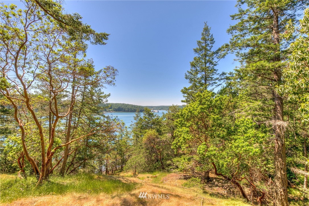 558 Old Farm Road Orcas Island, WA 98280 - Photo 2 of 24 Gallery Image 2