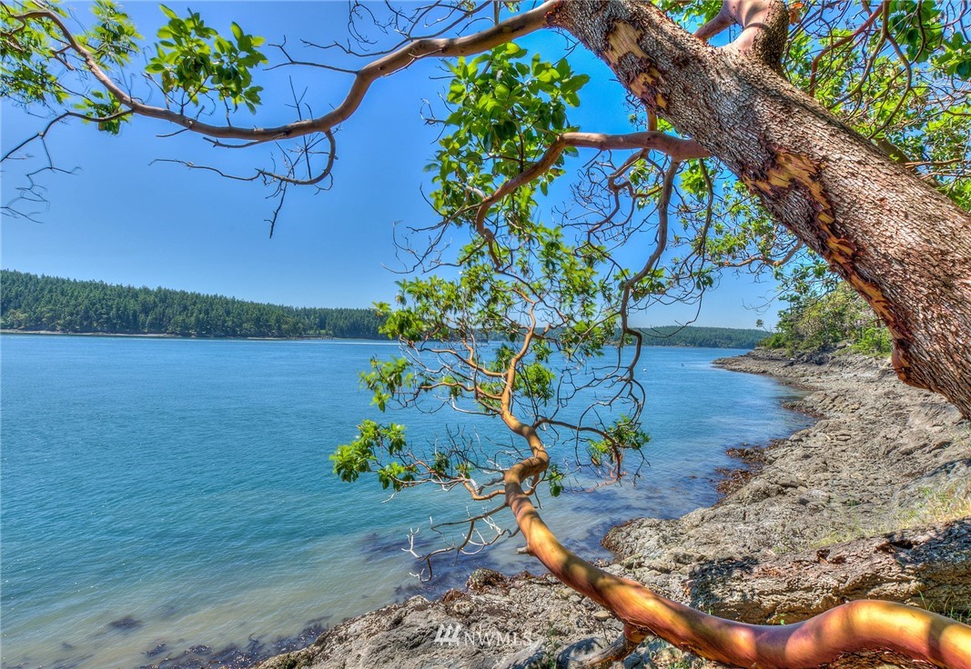558 Old Farm Road Orcas Island, WA 98280 - Photo 11 of 24 Gallery Image 11