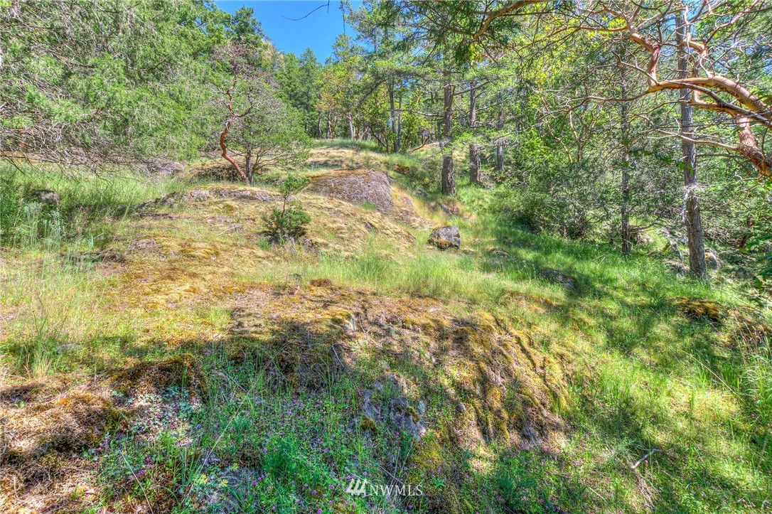 558 Old Farm Road Orcas Island, WA 98280 - Photo 12 of 24 Gallery Image 12