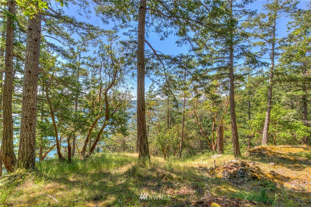 558 Old Farm Road Orcas Island, WA 98280 - Photo 13 of 24 Gallery Image 13