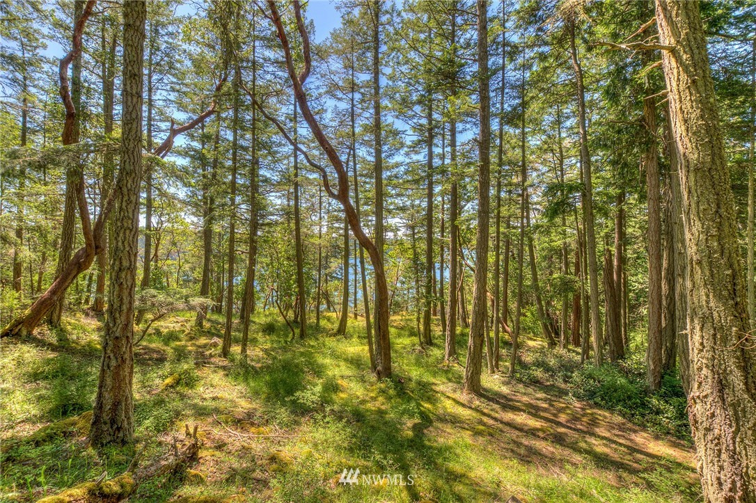 558 Old Farm Road Orcas Island, WA 98280 - Photo 15 of 24 Gallery Image 15