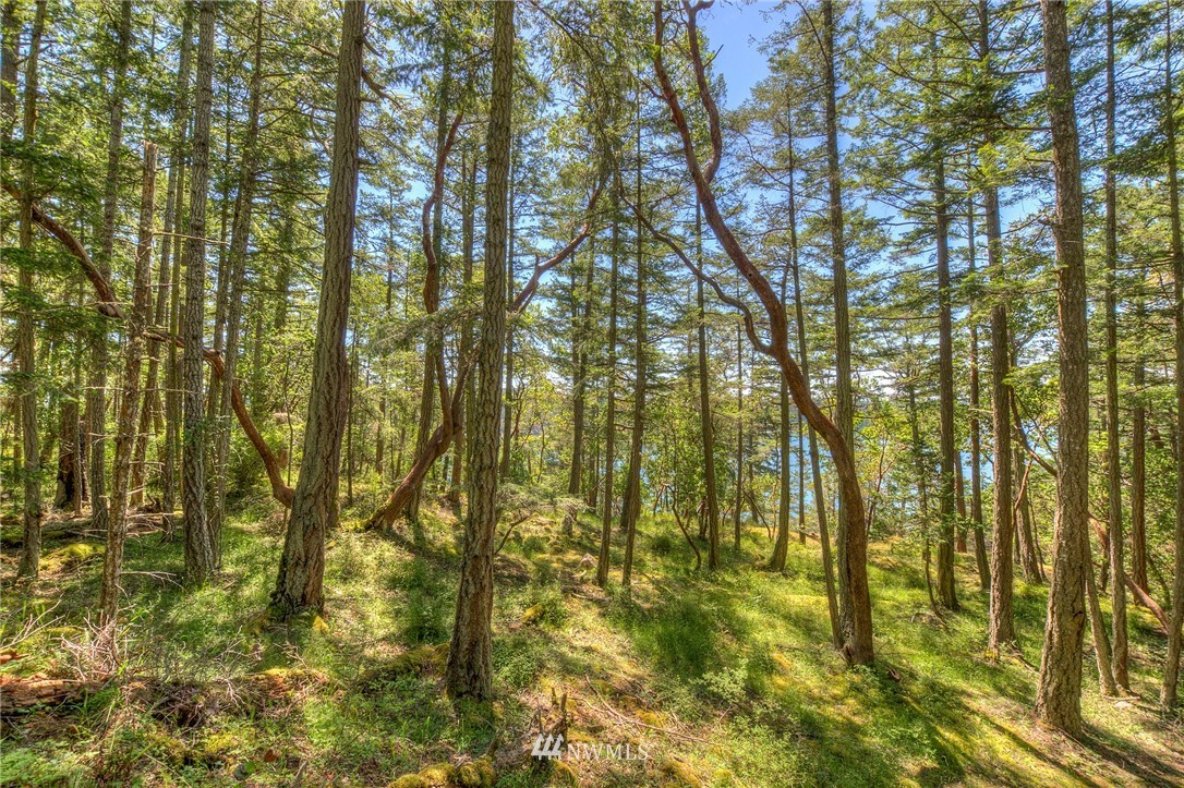 558 Old Farm Road Orcas Island, WA 98280 - Photo 16 of 24 Gallery Image 16