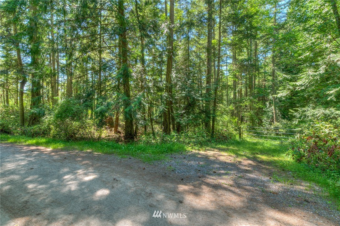 558 Old Farm Road Orcas Island, WA 98280 - Photo 17 of 24 Gallery Image 17