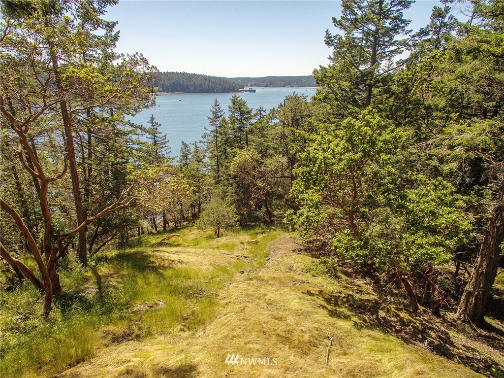 558 Old Farm Road Orcas Island, WA 98280 - Photo 20 of 24 Gallery Image 20