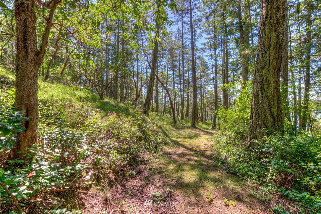 558 Old Farm Road Orcas Island, WA 98280 - Photo 3 of 24 Gallery Image 3