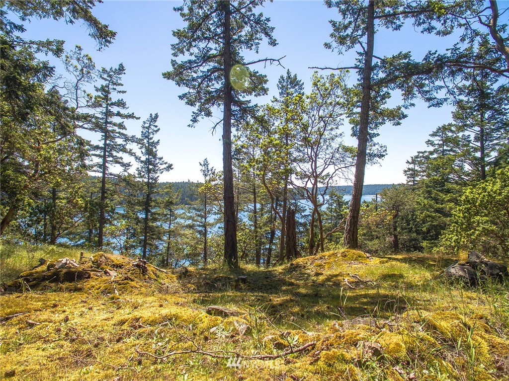 558 Old Farm Road Orcas Island, WA 98280 - Photo 21 of 24 Gallery Image 21