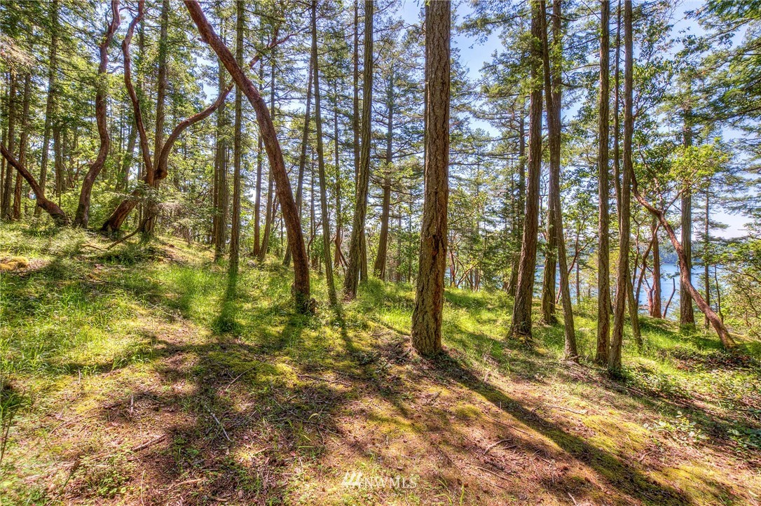 558 Old Farm Road Orcas Island, WA 98280 - Photo 4 of 24 Gallery Image 4