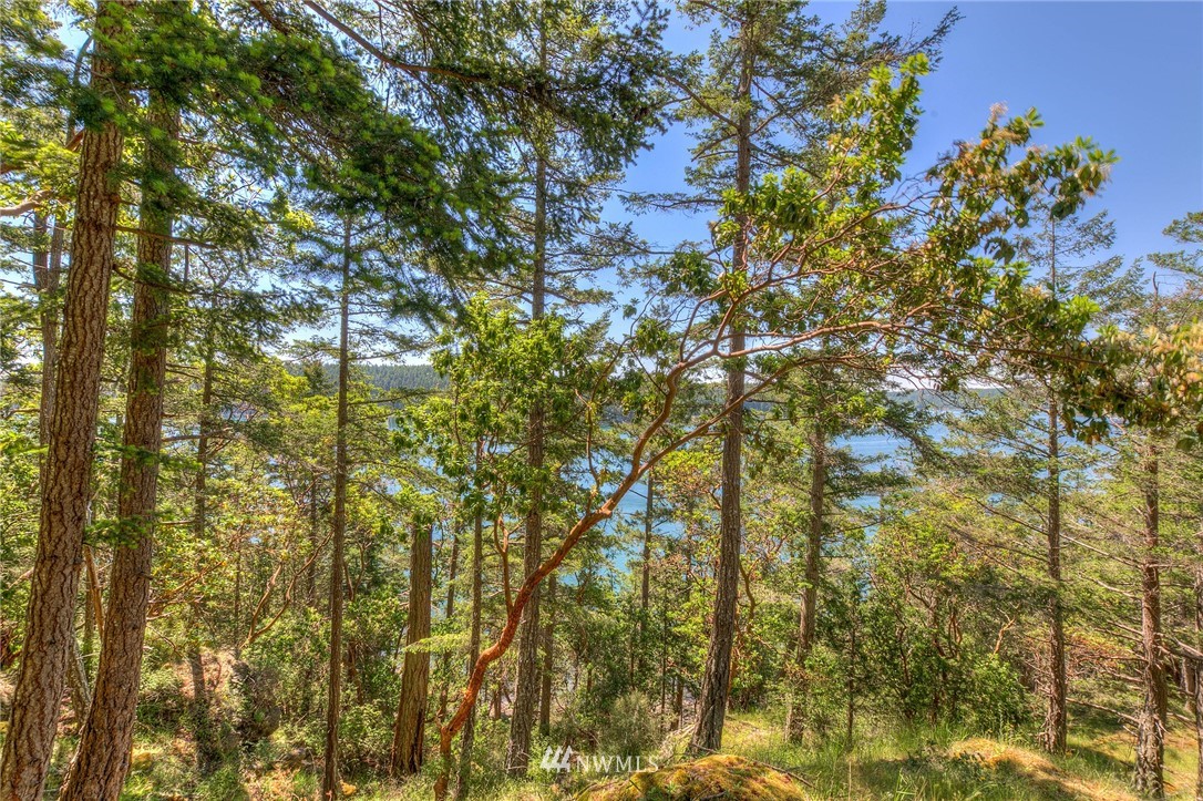 558 Old Farm Road Orcas Island, WA 98280 - Photo 5 of 24 Gallery Image 5