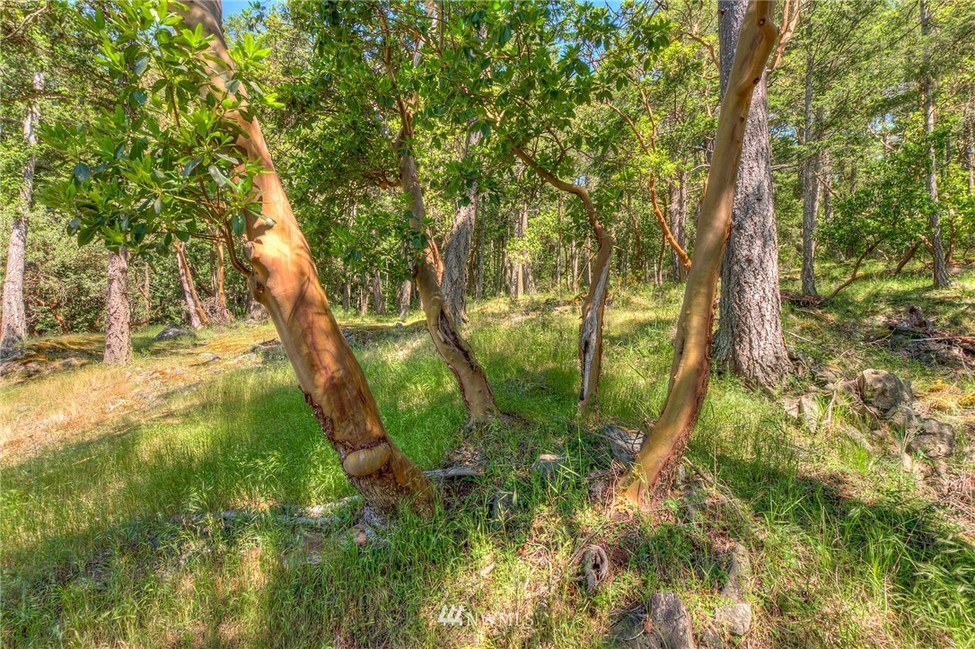 558 Old Farm Road Orcas Island, WA 98280 - Photo 6 of 24 Gallery Image 6