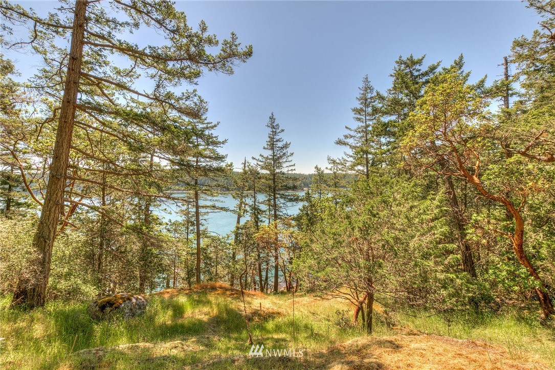 558 Old Farm Road Orcas Island, WA 98280 - Photo 7 of 24 Gallery Image 7