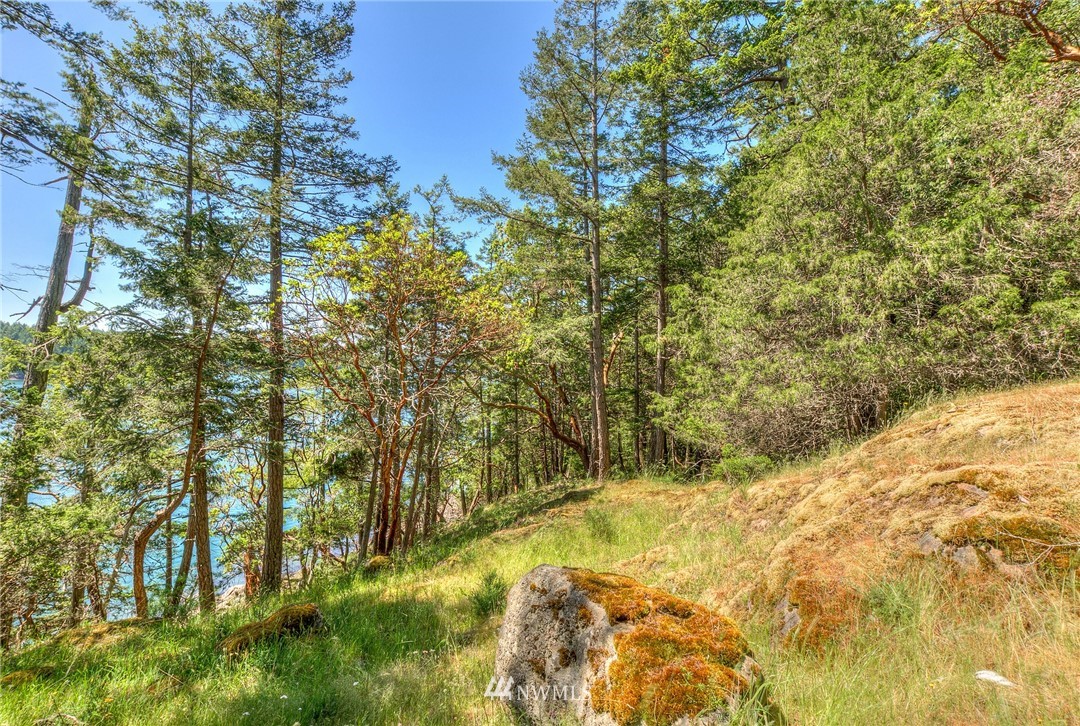 558 Old Farm Road Orcas Island, WA 98280 - Photo 8 of 24 Gallery Image 8