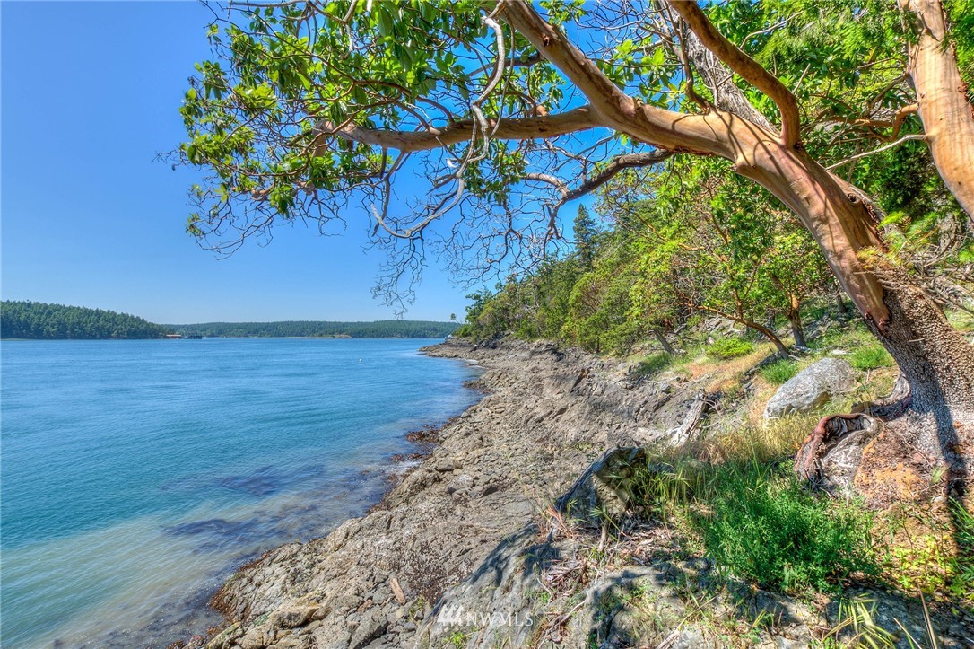 558 Old Farm Road Orcas Island, WA 98280 - Photo 10 of 24 Gallery Image 10