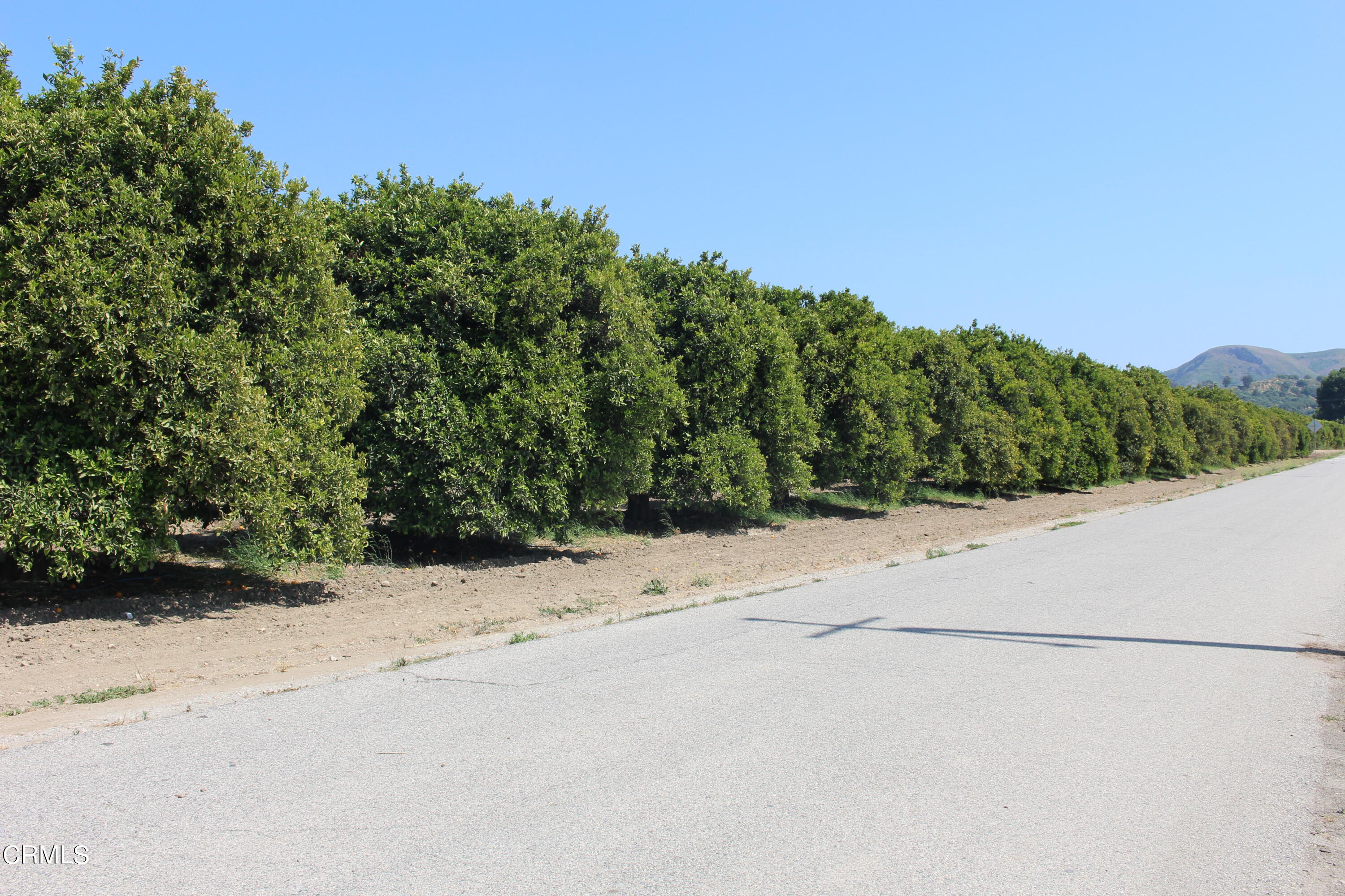 933 Riverside Avenue Fillmore, CA 93015 - Photo 3 of 11 a view of a road with a yard