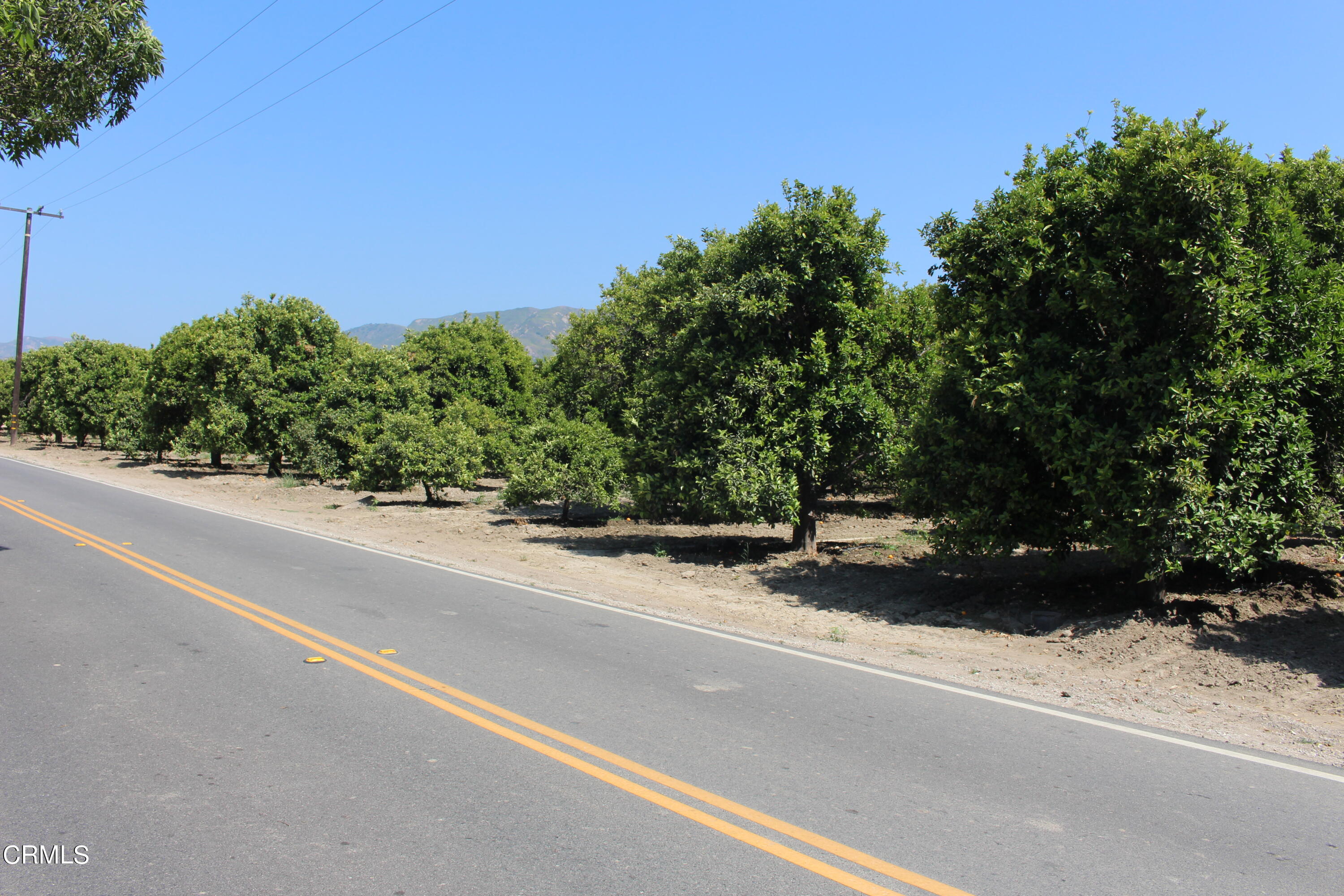 933 Riverside Avenue Fillmore, CA 93015 - Photo 10 of 11 an outdoor view with a road