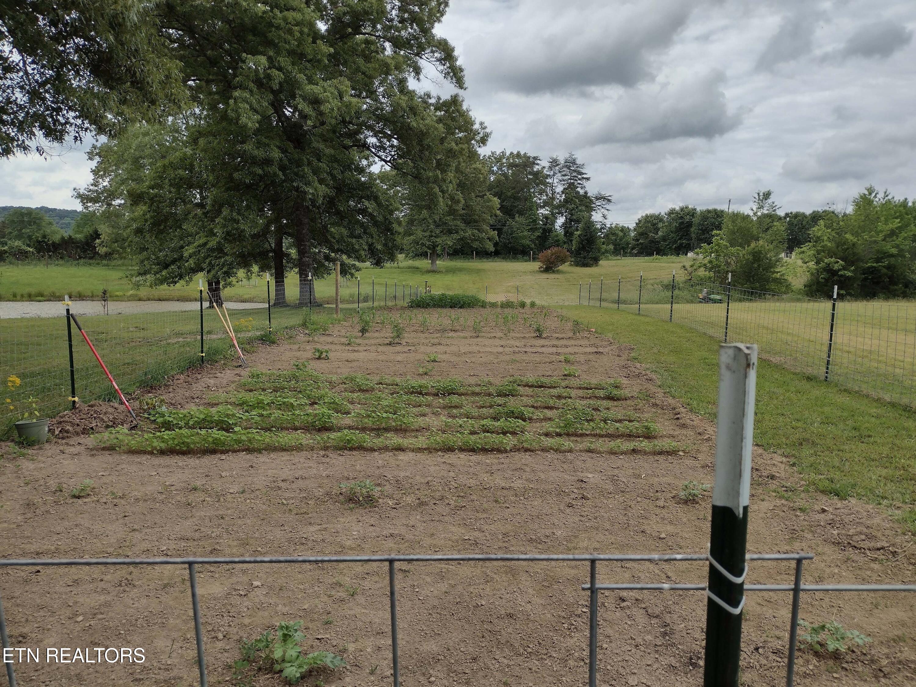 122 Frankfort Road Lancing, TN 37770 - Photo 55 of 60 Front Garden