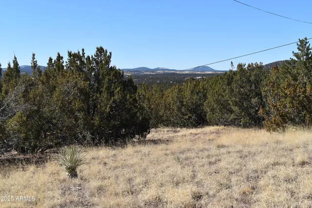 a view of snow covered with fog