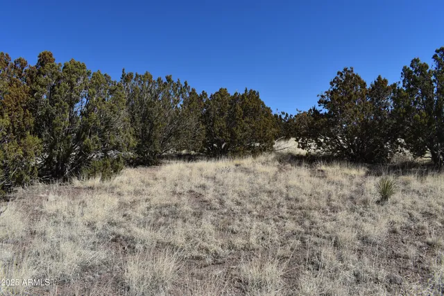 $49,900 | 0 Stanford Drive, Show Low, AZ 85901