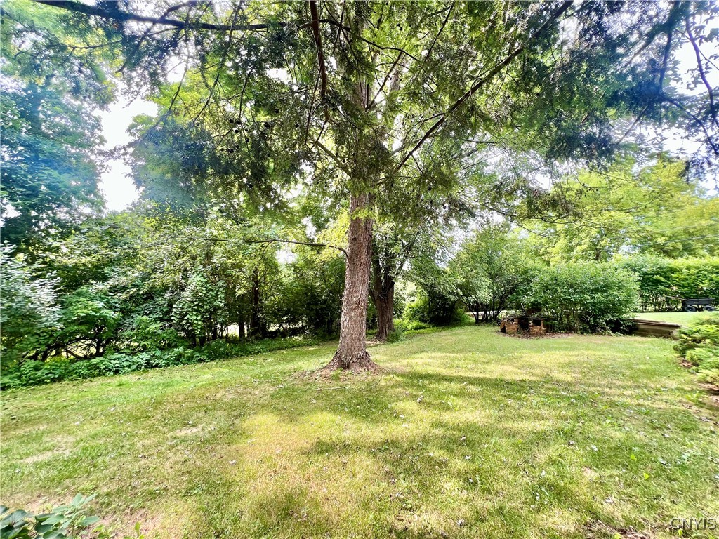 246 Lafayette Road Syracuse, NY 13205 - Photo 12 of 12 Backyard