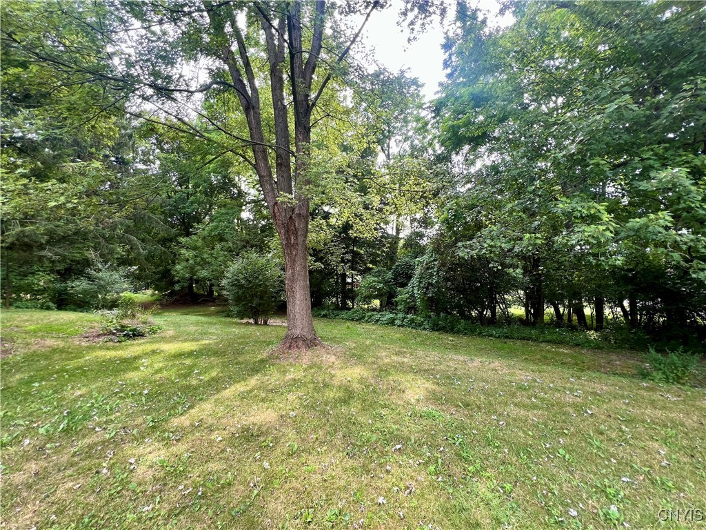 246 Lafayette Road Syracuse, NY 13205 - Photo 3 of 12 Backyard