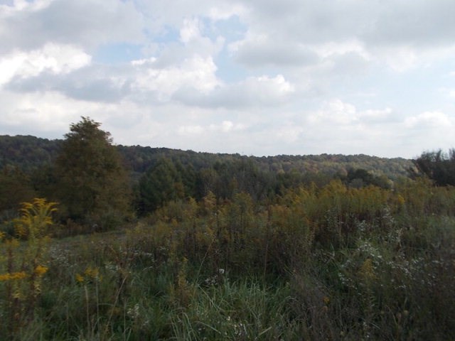 0 Smith Road Fairmount City, PA 16224 - Photo 5 of 7