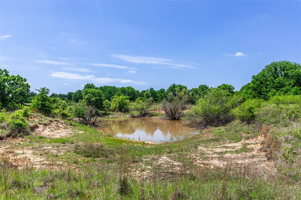 2043 Huddleston Road Sunset, TX 76270 - Photo 30 of 36 a backyard of a house with lots of green space and lake view