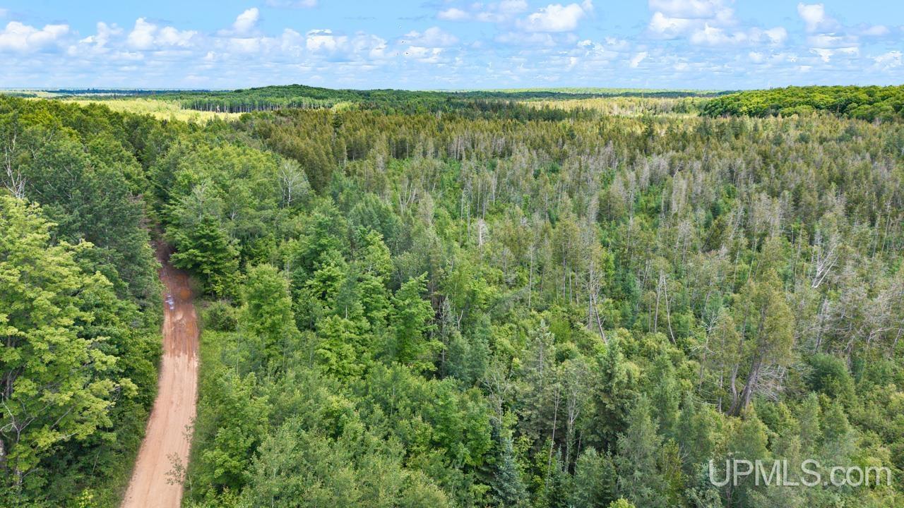 1188 Northwest South Ross Wells Road Felch, MI 49831 - Photo 3 of 14