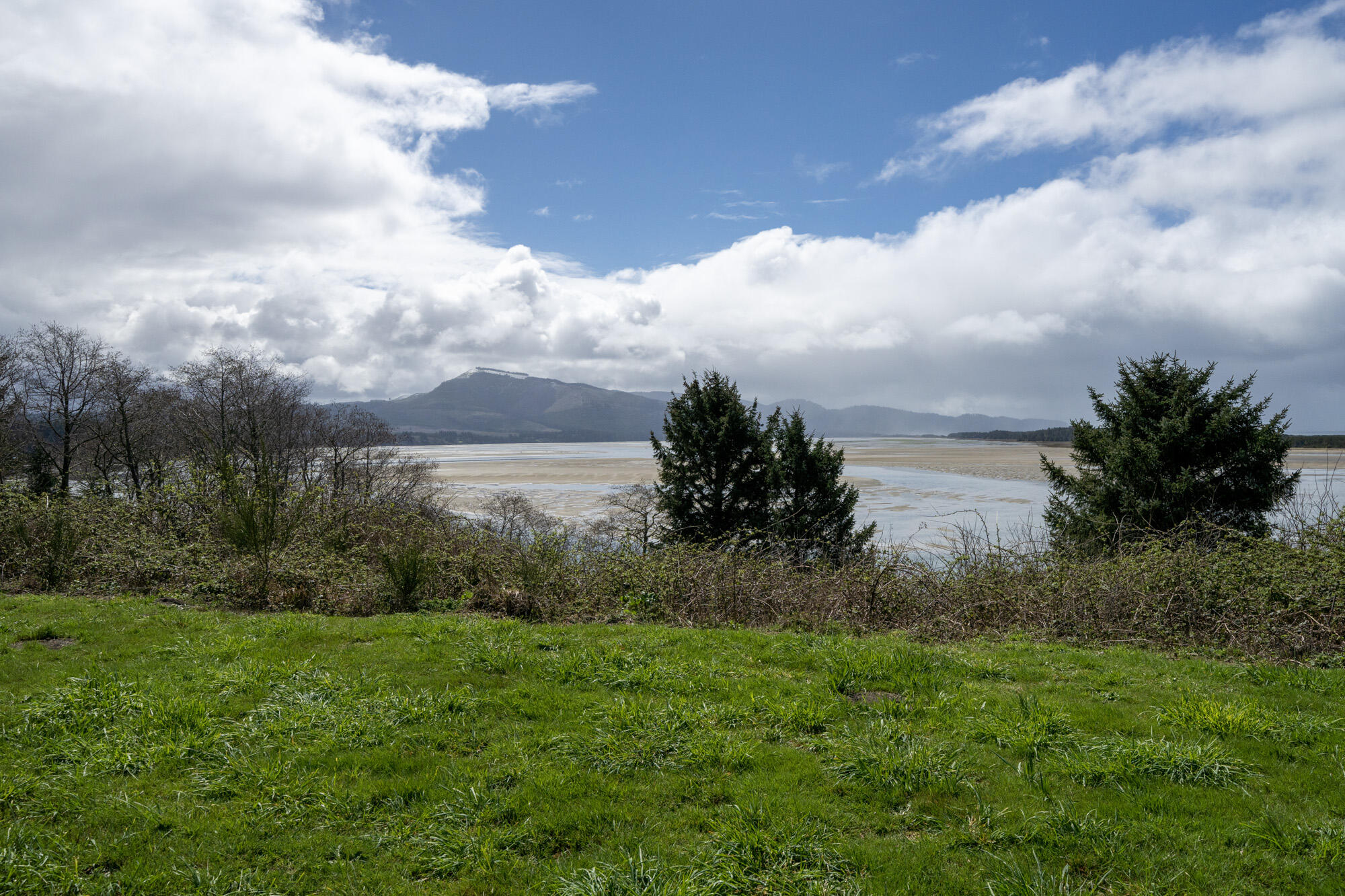 Lot 100 Netarts Bay Road Tillamook, OR 97141 - Photo 17 of 30 Lot