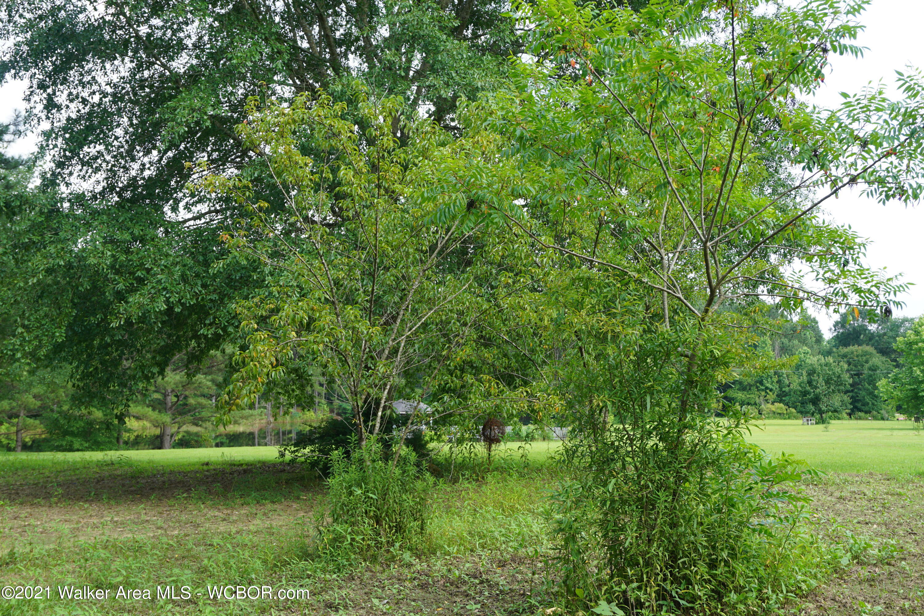 74 Rose Hill Road Nauvoo, AL 35578 - Photo 33 of 40 Gallery Image 33
