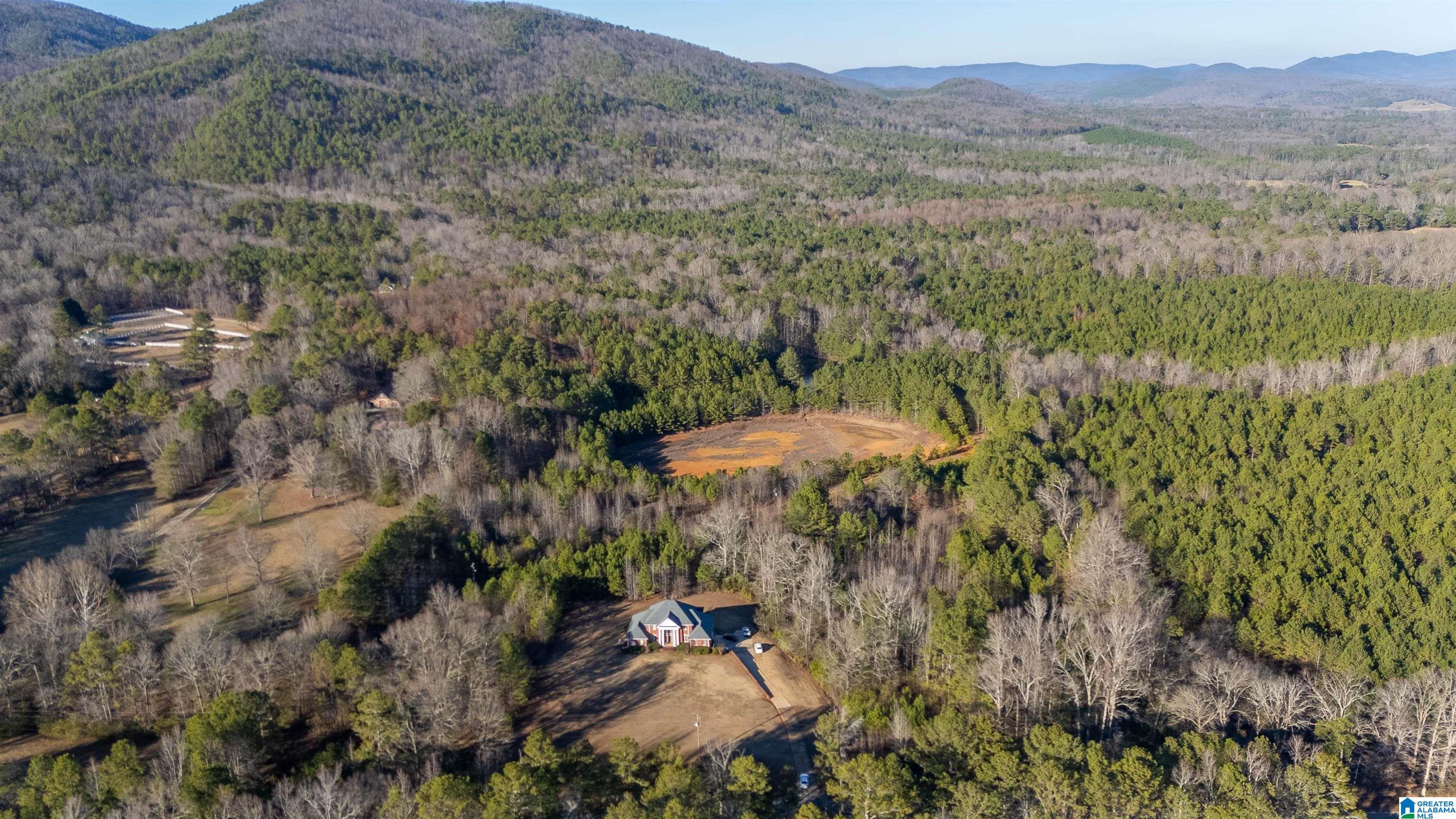 600 Bains Gap Road Anniston, AL 36207 - Photo 4 of 49