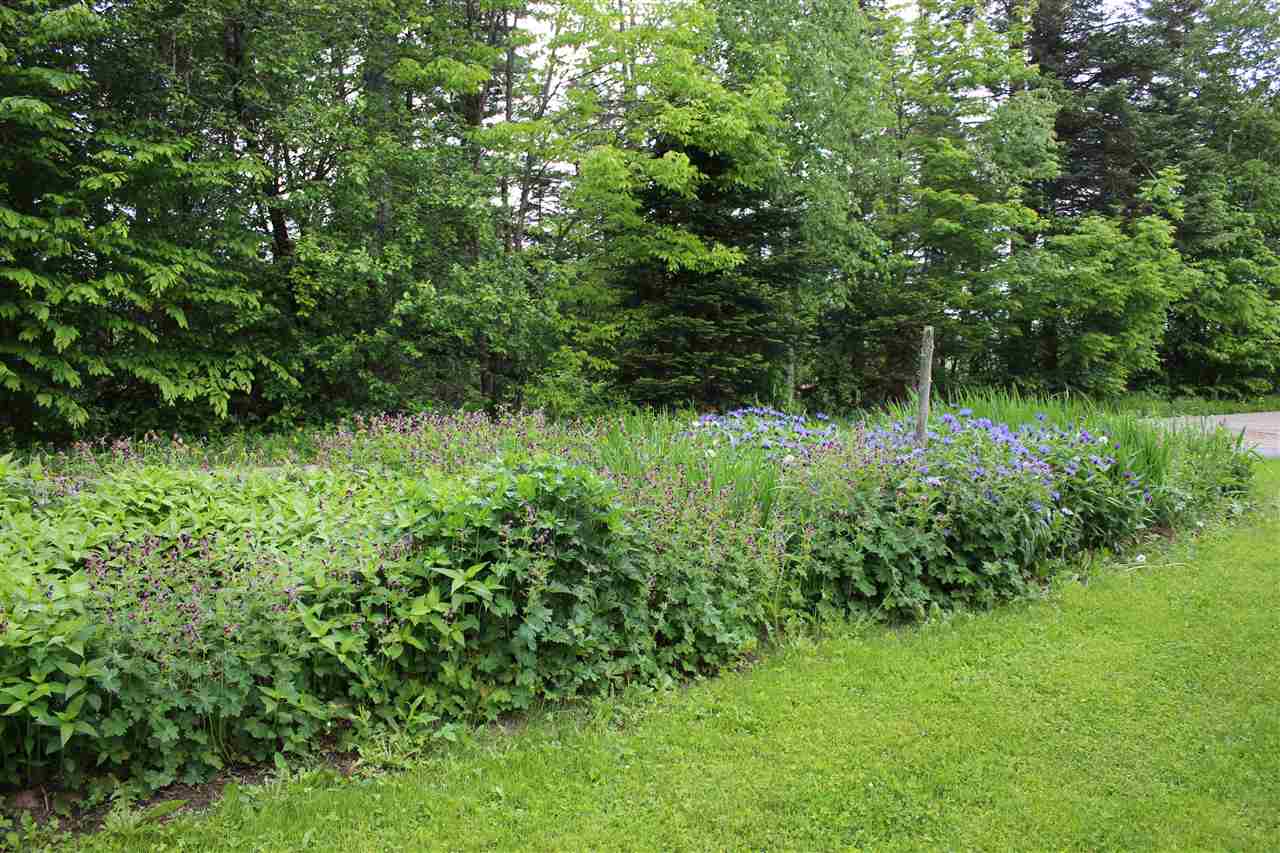 301 Jills Hill Road Wheelock, VT 05851 - Photo 7 of 29 Gallery Image 7