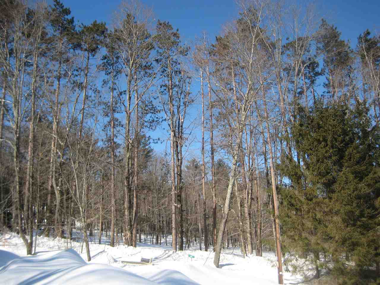 215 School House Hill Road Barnard, VT 05091 - Photo 6 of 29