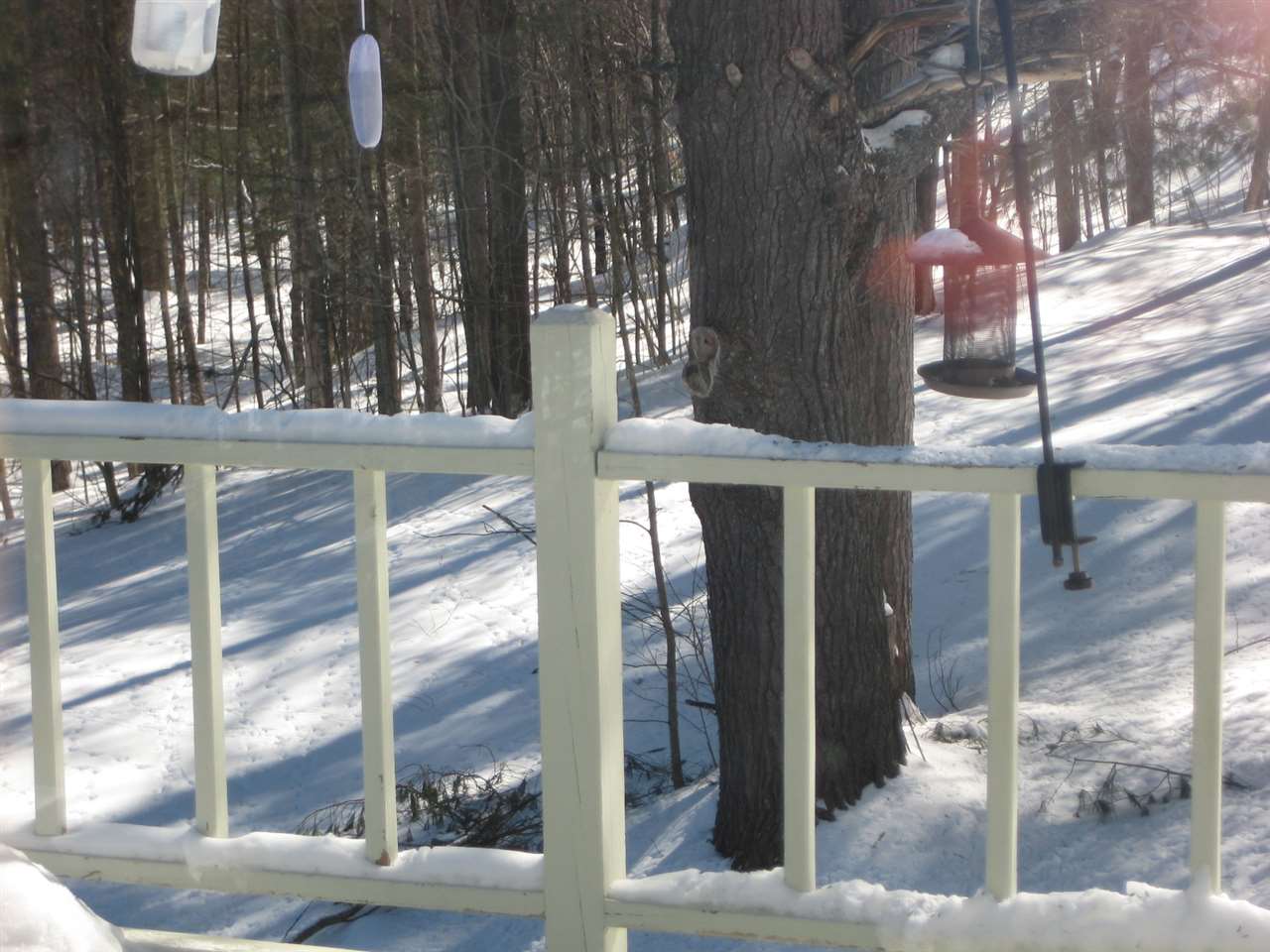 215 School House Hill Road Barnard, VT 05091 - Photo 8 of 29