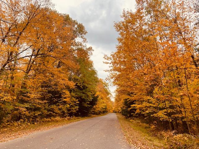 Lot 2 Hancock Lake Road Harshaw, WI 54529 - Photo 21 of 24 Gallery Image 21